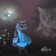 Illustration for article titled In Which I Troll eHarmonys Algorithms